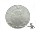 USA 1 Dollar 2007 Silver Eagle