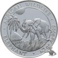 Somalia Elefant 50 Shillings 2017 - 1/2 Unze Feinsilber