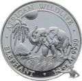 Somalia Elefant 25 Shillings 2017 - 1/4 Unze Feinsilber