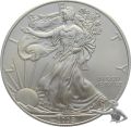 USA Silver Eagle 1 Unze Feinsilber 2009