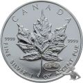 Kanada Maple Leaf 1999 2000 1 Unze Feinsilber Privy Mark