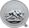 Kanada 2013 Polarbär | 1.5 Unze Feinsilber