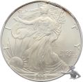 USA Silver Eagle 2006 - 1 Unze Feinsilber