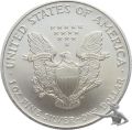 USA Silver Eagle 2007 - 1 Unze Feinsilber